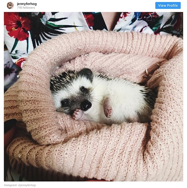 13. Зима близко!