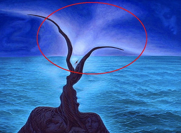 4. Вы увидели птицу: