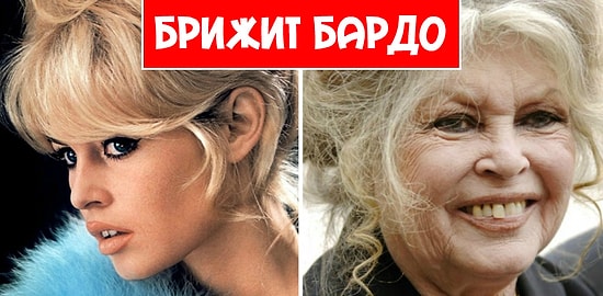 Было vs. стало: как выглядят сейчас звездные актрисы-красотки 70-х годов