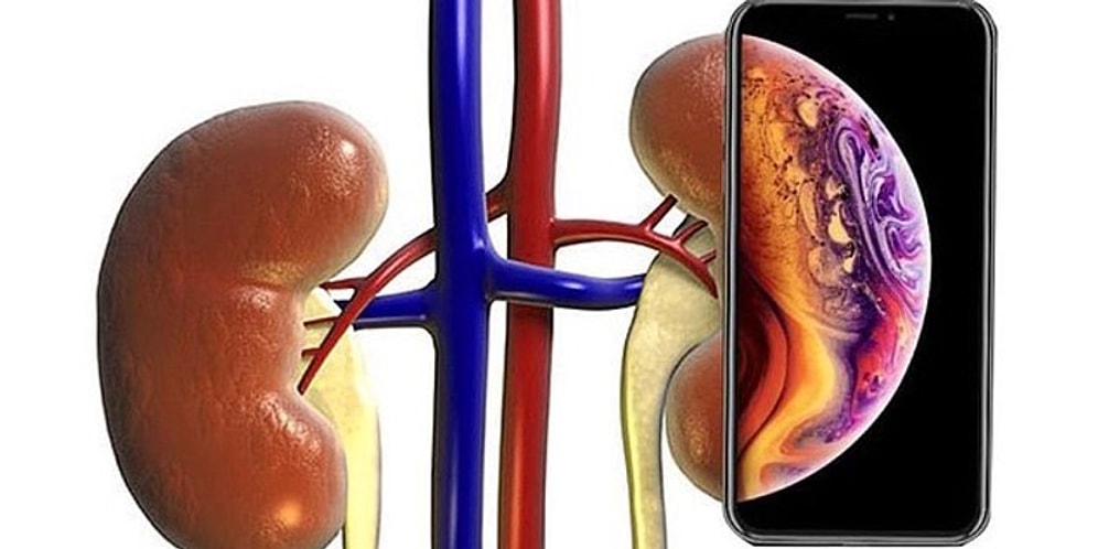 Абсолютно другой iPhone: Лучшие мемы про новинки Apple, которые выглядят по-старому, но стоят как почка