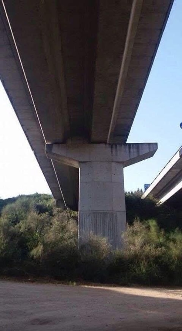 21. Тем, кто ругает московского мэра. Вы гляньте, что в мире творится!