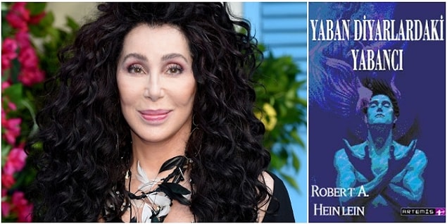 17. Cher