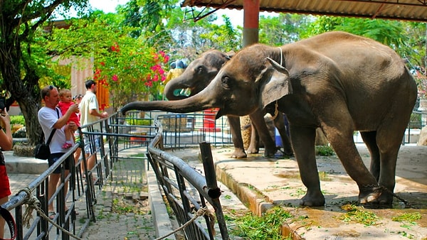 4. Где находится самый старый зоопарк в мире?