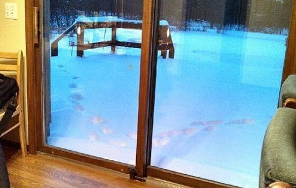 8. Женщина, которая живет в этом доме одна и сделала фото, утверждает, что к ней никто не приходил. Всю ночь она проспала в одиночестве.