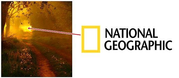 5. National Geographic