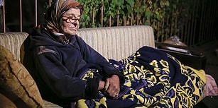 Sevgi Böyle Bir Şey! Hayvanlar İçin Yaşadığı Evi Terk Edip Sokakta Kalmaya Başladı