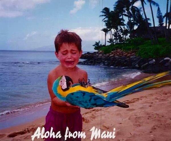 9. "Hawaii'ye yaptığım seyahat, 1995 civarı."