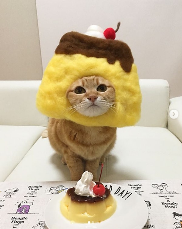 4. Пироженка