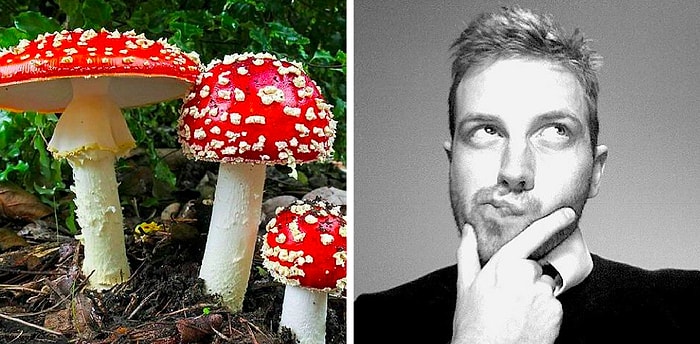 Тест: Только редкие представители современного поколения смогут отличить съедобные грибы от несъедобных