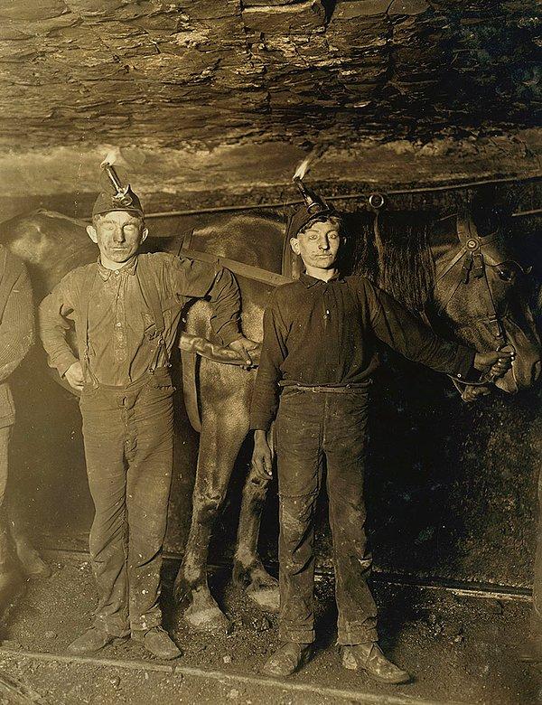 28. Kömür madenindeki sürücüler. Bolca çocuk sürücü var ve tumba üzerindeler. Maden başka bir sistemle havalandırıldığı için trapper kullanılmıyor. Yer: Batı Virginia