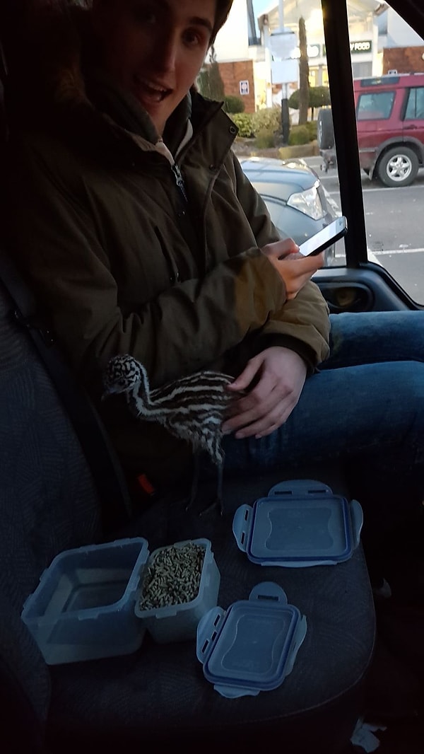 Это Пол через две недели после рождения!