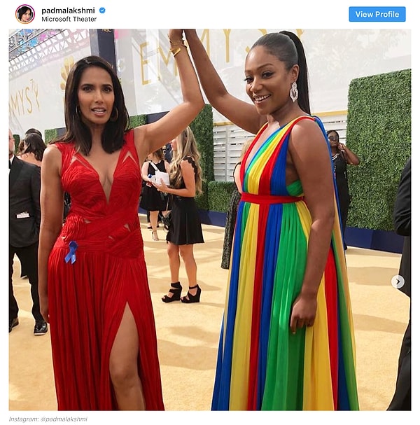 16. Падма Лакшми и Тиффани Хадиш добавили ярких красок этой церемонии!