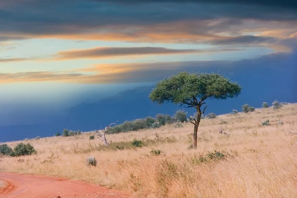 9. Полуостров, прозванный "Африканским Рогом"?