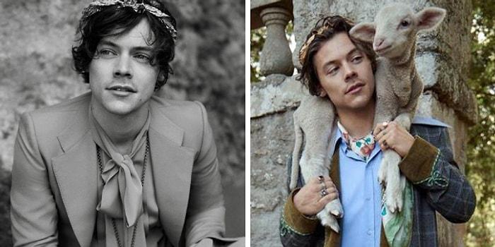 Yeni Hali Şaşırtıyor: Harry Styles'ın Çiftlik Hayvanlarıyla Gerçekleştirdiği Moda Çekimi
