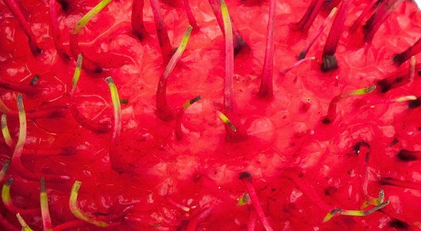 1. Итак, что за фрукт на этом фото?