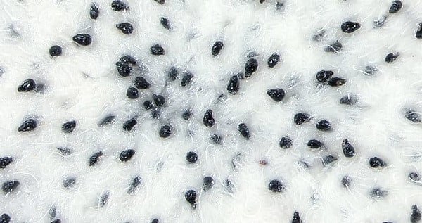 8. Фрагмент какого плода на картинке?