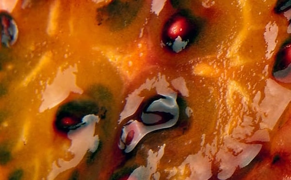 10. И, наконец, перед вами...