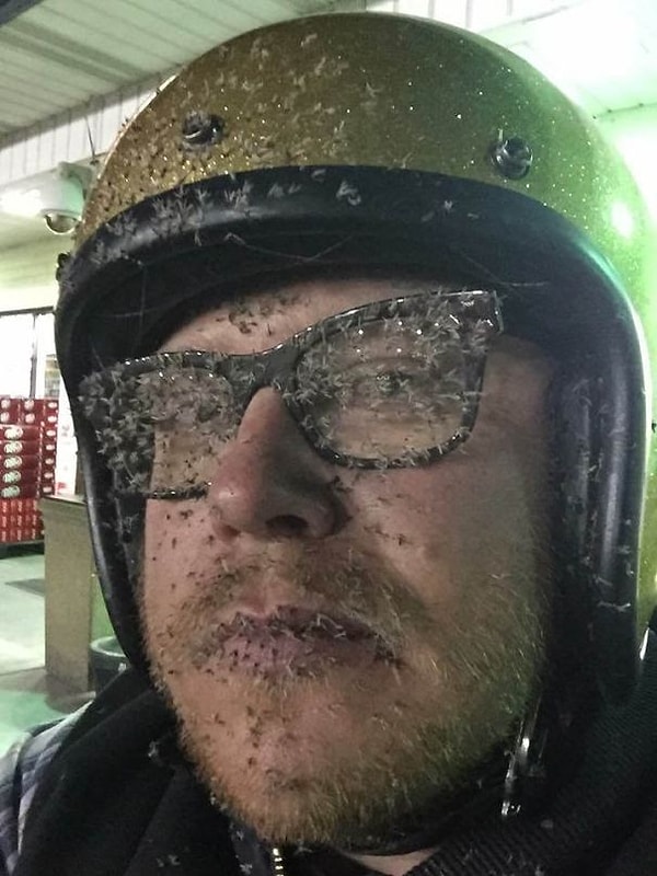 17. Пожалуй, все же стоило выбрать шлем на все лицо