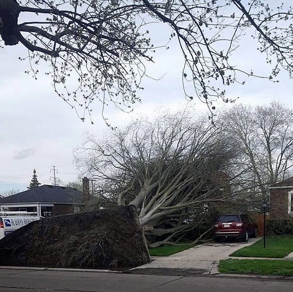 25. Сюрприииз!