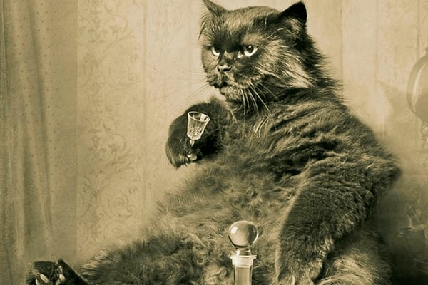 Кот Бегемот