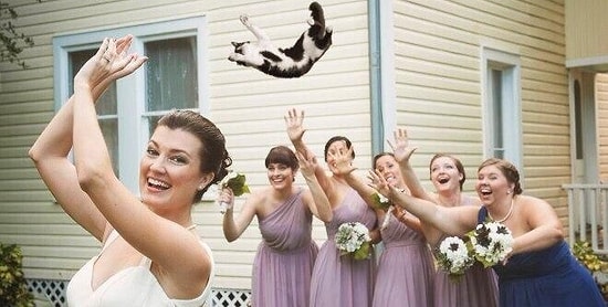 Тест: Кто поймает букет на вашей свадьбе?