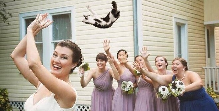 Тест: Кто поймает букет на вашей свадьбе?