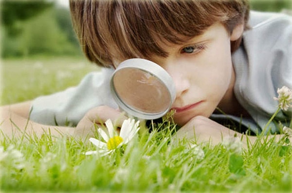 2. Оцените свой уровень любопытства по шкале от 1 до 5 (1- минимально любопытный, 5 - максимально любопытный):