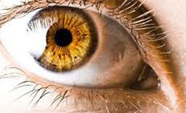 Светло-карие глаза!