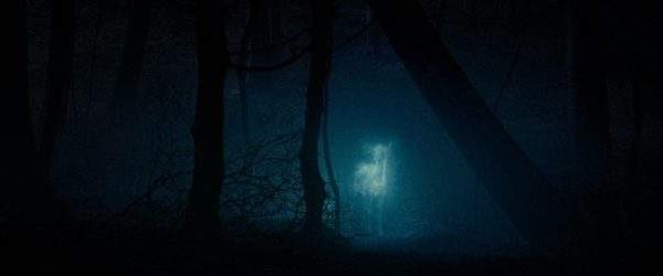 11. Чей патронус привел Гарри к мечу Годрика Гриффиндора?