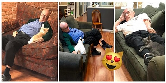 Her Gün Hayvan Barınağına Giderek Kedilerle Şekerleme Yapan 75 Yaşındaki Minnoş Amca