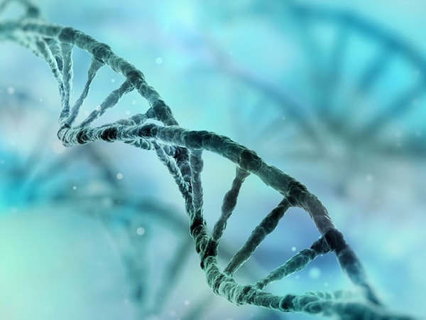 1. Что вы делаете первым делом, когда просыпаетесь?