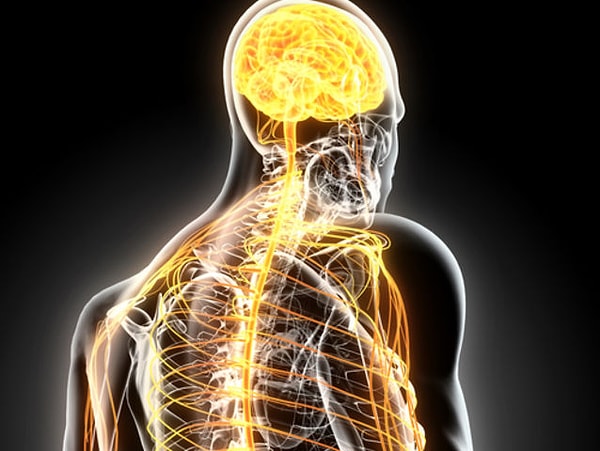 5. Как вы реагируете на раздражение нервных окончаний?