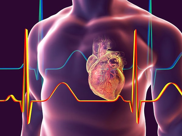 6. Каким спортом вы хотели бы заняться?