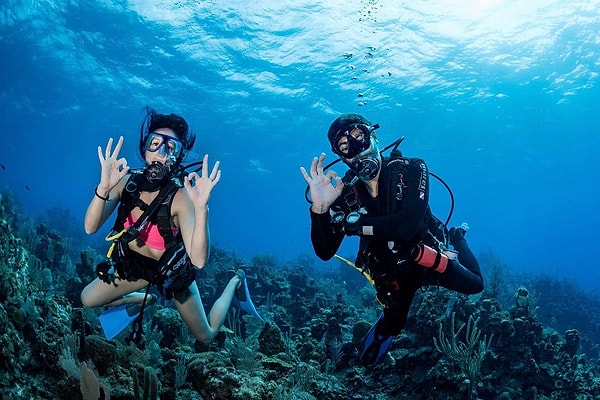 Вам стоит стать инструктором по подводному плаванию!