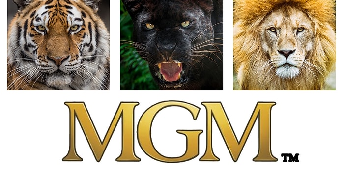 Тест: сможете вспомнить, каких животных не хватает на этих логотипах?