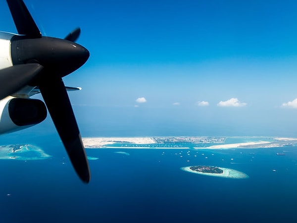 4. Здесь любят отдыхать все!