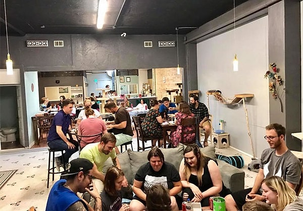 6. В результате приюту стали присылать деньги в качестве пожертвований.