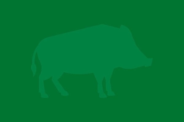 3. Что же здесь изображено?