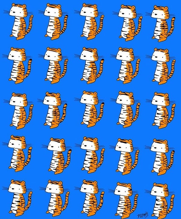 1. Сможете найти тигренка без пары?