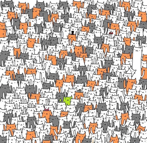 3. Найдите кролика среди котиков. Справились с заданием?