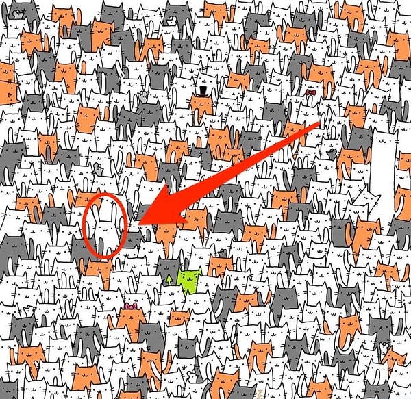 Ах, вот где: