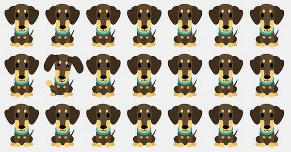 4. А на этой картинке решила выделиться одна из собачек. Нашли ее?