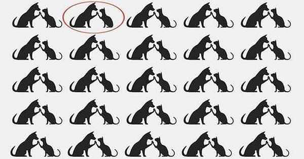 А где же хвостик?