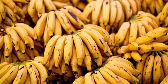 'Fazla Olgunlaştı' Denilip Cezaevine Bağışlanmıştı: Muz Kolilerinin İçinden 18 Milyon Dolarlık Kokain Çıktı