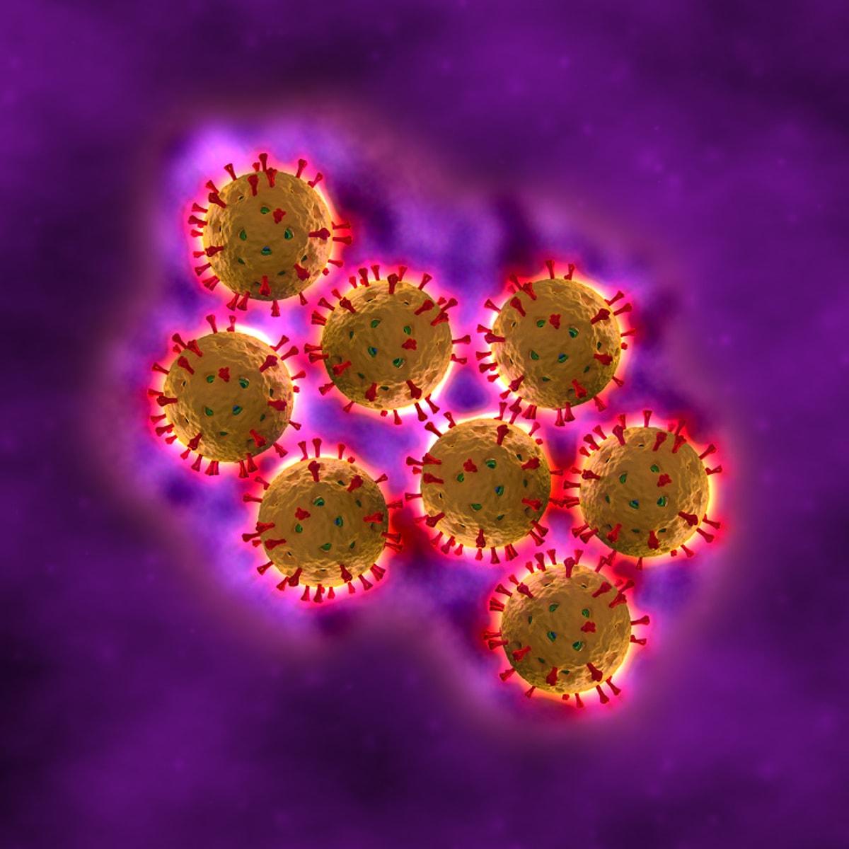 Ротавирус бактерия