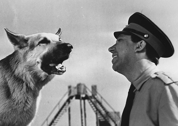 3. Из какого фильма данный кадр?