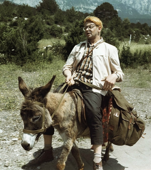 5. В каком советском фильме был этот ослик?