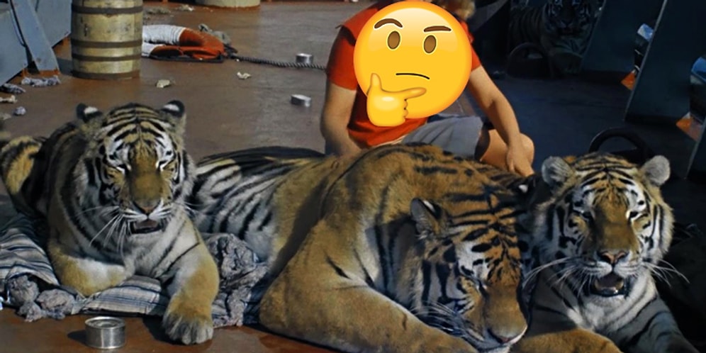 Тест: сможете угадать советский фильм по присутствовавшему в нем животному?