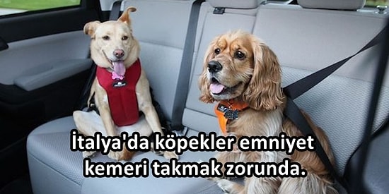 Kemerlerinizi Bağlayın! Avrupa Ülkelerinin Birbirinden Enteresan 23 Trafik Yasası