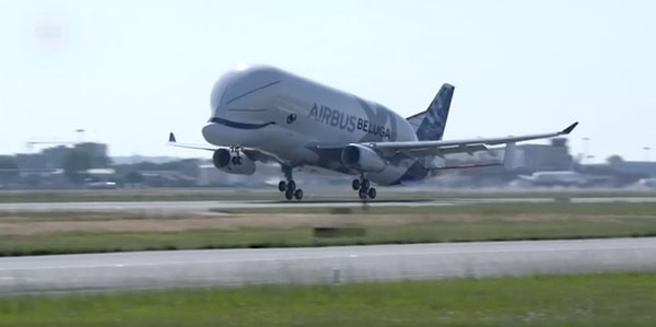 3. Миловидность этого самолета просто зашкаливает!